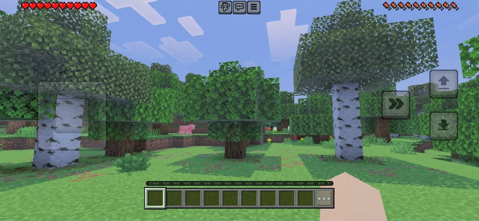 A Minecraft birch forest on mobile, with a pig wandering between the trees and the hotbar empty
